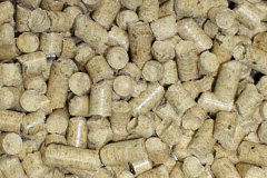 Carlton Miniott biomass boiler costs
